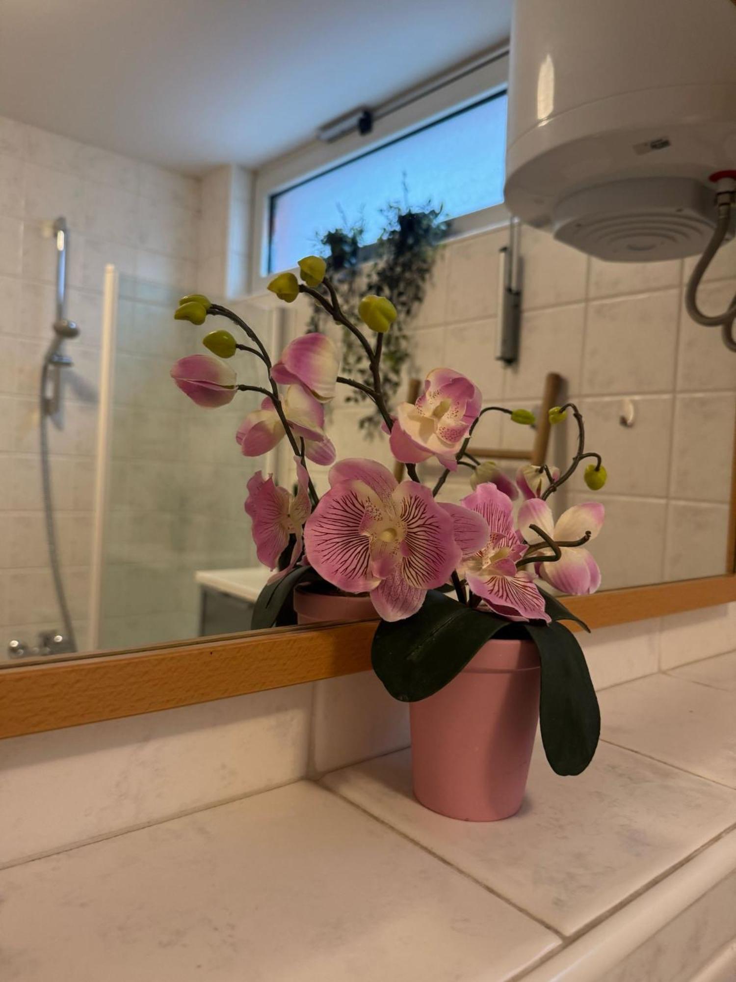 Lorena App Appartement